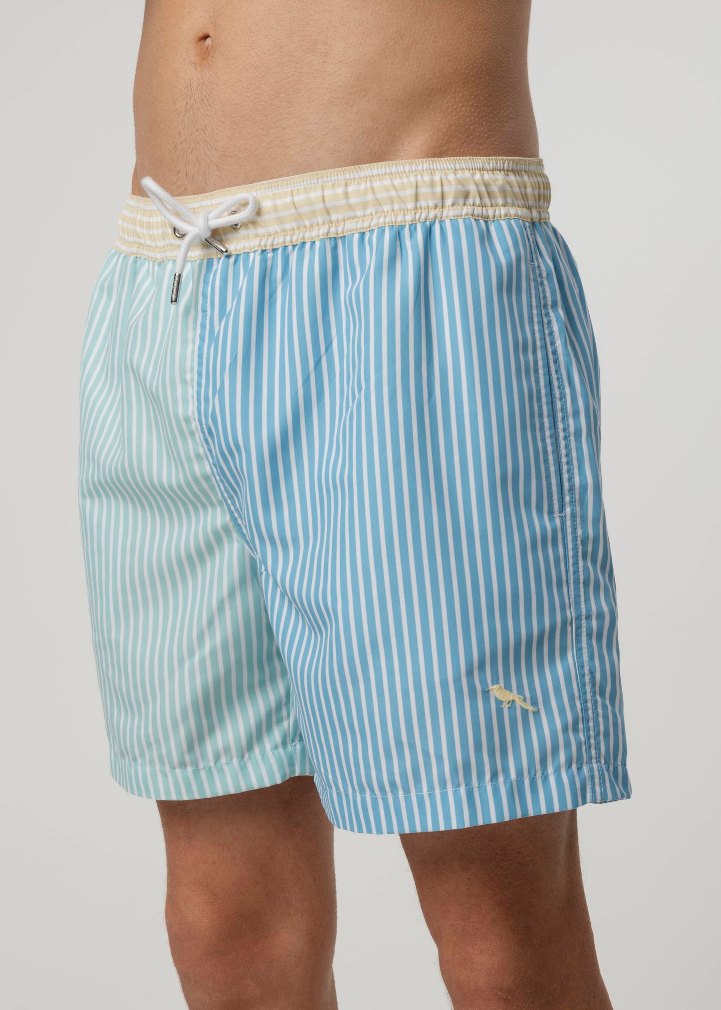 Swim Shorts Isaac